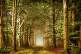 EMBRACED BY NATURE