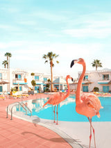 FLORIDA
