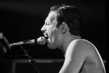 FREDDIE MERCURY SUR SCÈNE