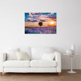 L'ARBRE ET SA LAVANDE