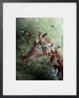 L'IMAGINATION