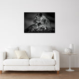 LES YEUX DE L’AMOUR