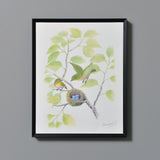 メジロ/Japanese White-eye