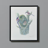 エナガ/Long-tailed Tit