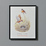 ホオジロ/Siberian Meadow Bunting