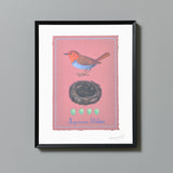 コマドリ/Japanese Robin