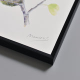 メジロ/Japanese White-eye