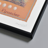 コサメビタキ/Brown Flycatcher