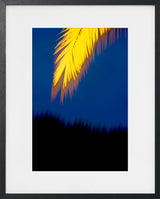 NATURE STUDY 12
