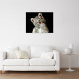 OOPS DID I SCARE YOU