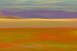 PASTORAL 1