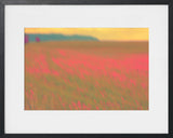 PASTORAL 3