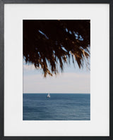 SAIL AWAY