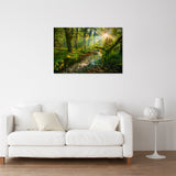 SPIRIT GARDEN QUEETS RAINFOREST WASHINGTON