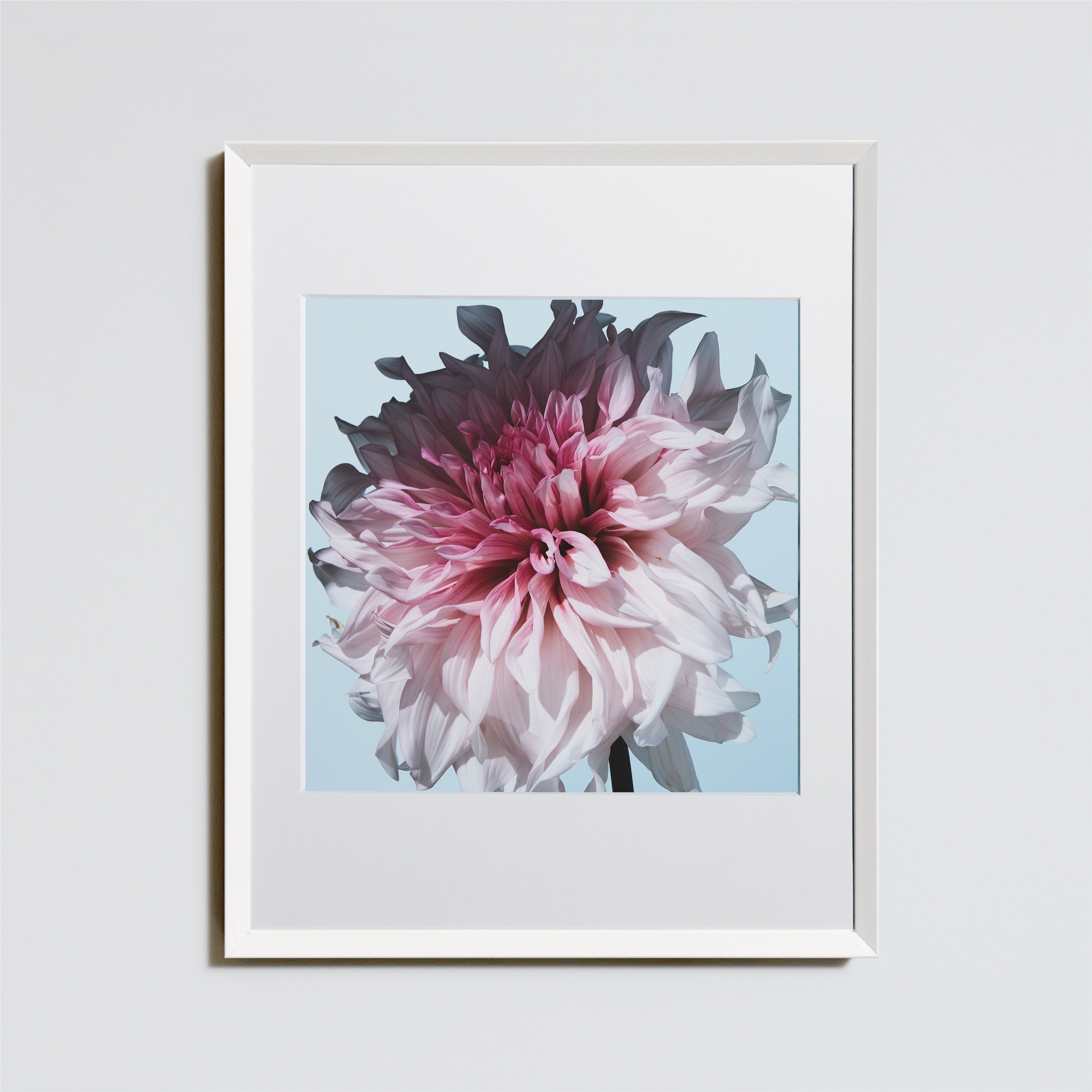 flora – ROOM＋