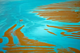 TALES OF THE BLUE WATER