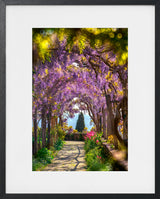 THE ENCHANTED GARDEN