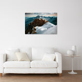 THE SCALE OF NATURE 2.0