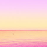VANILLA TWILIGHT