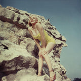 MARILYN MONROE 1960の作品画像