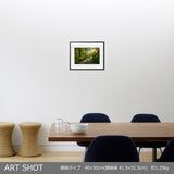 SPIRIT GARDEN QUEETS RAINFOREST WASHINGTON