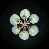 WATER LILYの作品画像