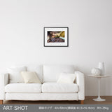 Dogma maison de la culture