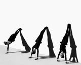 The Wonders Anneの作品画像