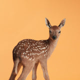 ORANGE FAWNの作品画像