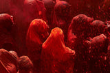 HOLI FESTIVALの作品画像