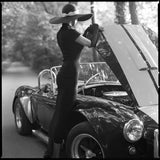 COBRAの作品画像