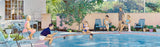 FAMILY SWIMMING POOL 1960の作品画像