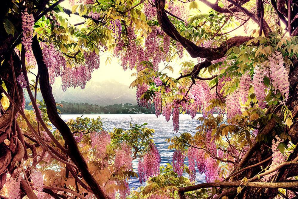 YellowKorner 自然・風景アートプリント（風景のアート写真