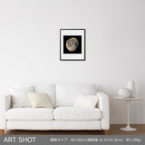 91% WANING GIBBOUS MOON