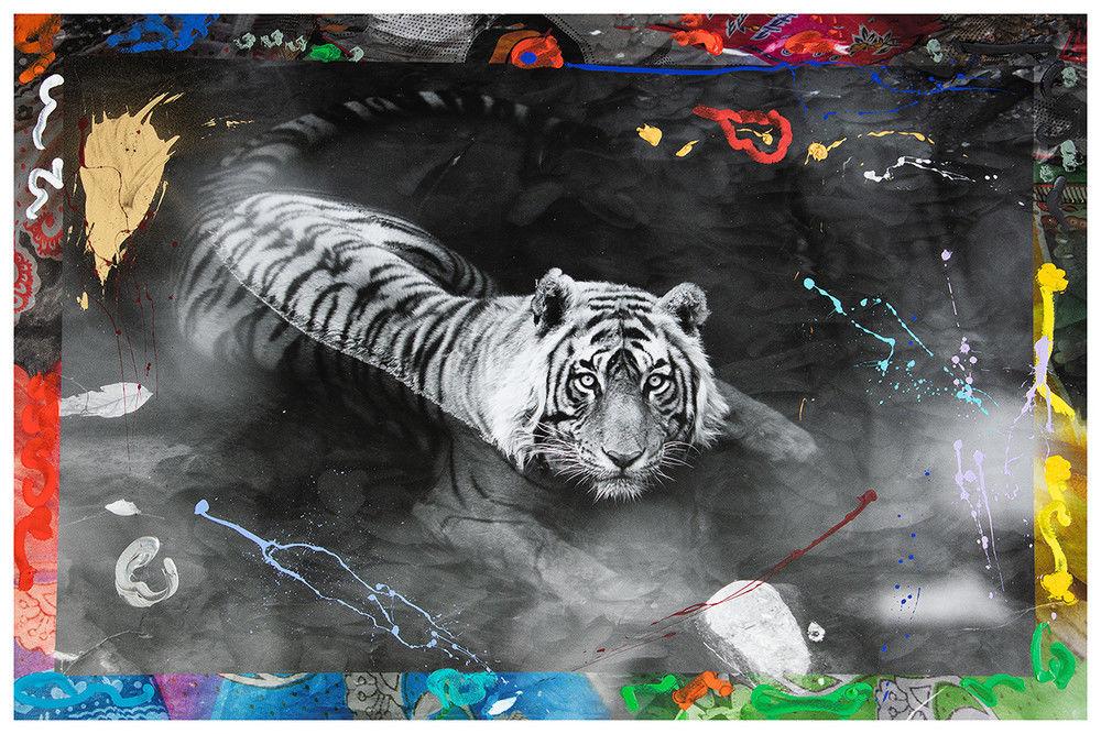 【YELLOWKORNER】フォトアート　カラフルなタイガーのアートパネル YELLOWKORNER】フォトアート カラフルなタイガーのアートパネル