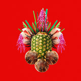 THE TASTE REDの作品画像