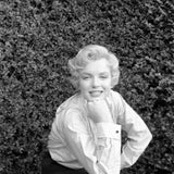 MILTON H GREENE MARILYN MONROEの作品画像