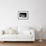 FREDDIE MERCURY AU PALAIS DES SPORTS DE PARIS, 1984