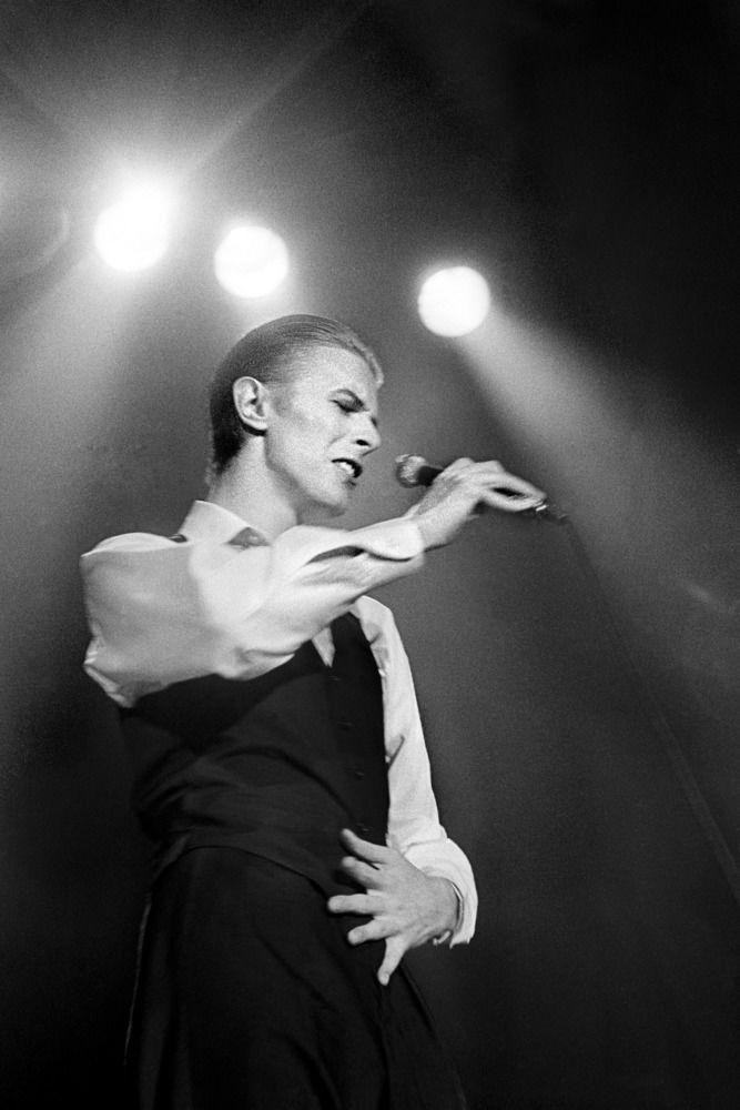 Bowie（デヴィッド・ボウイ） - イエローコーナーのアートフォト／写真