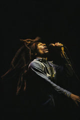 MARLEYの作品画像