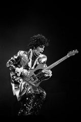 Princeの作品画像