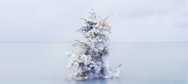 uroku × Yoko Harada<br>「INVISIBLE FLOWER」<br> 2025年1月15日(水)～2月17日(月)