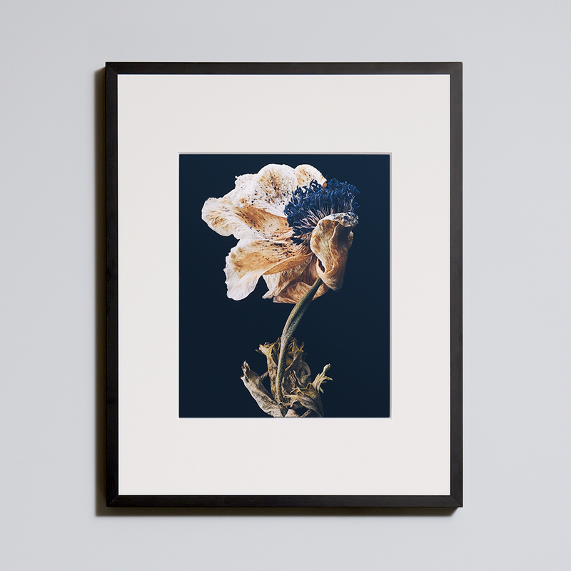 要問い合せ♥️お洒落空間♥️絵画 額 インテリア 2種 Flower Portrait 6 – ROOM+