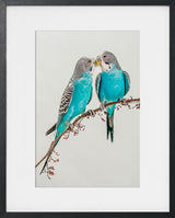 A LOVE OF BUDGIE