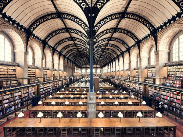 BIBLIOTHEQUE SAINTE GENEVIEVE 2