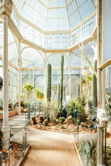 BOTANICAL GARDENS 2