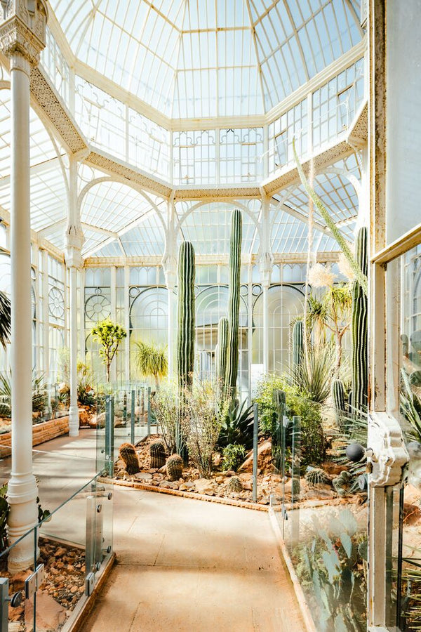 BOTANICAL GARDENS 2
