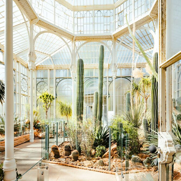 BOTANICAL GARDENS2 - イエローコーナー公式オンラインショップ – ROOM＋