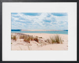 CAP FERRET OYAS SUR FOND DE DUNE