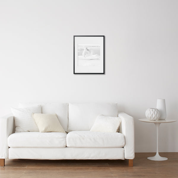 すべてのアート写真 - イエローコーナー公式オンラインショップ